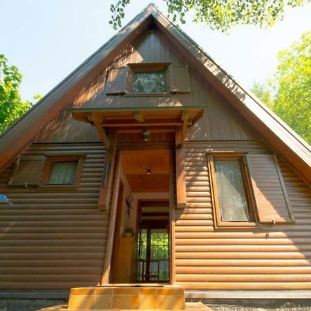 Ferienhaus Ederer Waldmünchen Zewnętrze zdjęcie