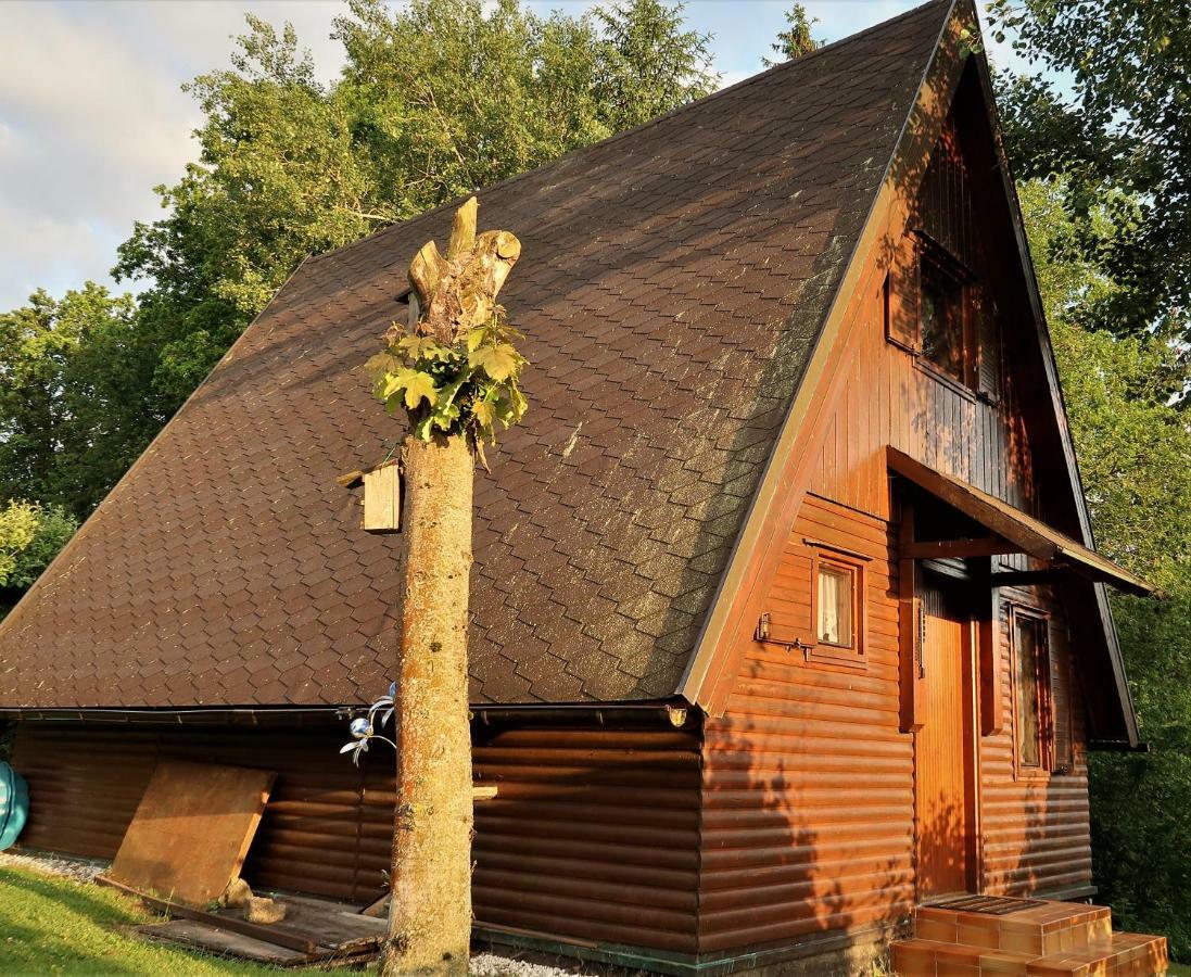 Ferienhaus Ederer Waldmünchen Zewnętrze zdjęcie