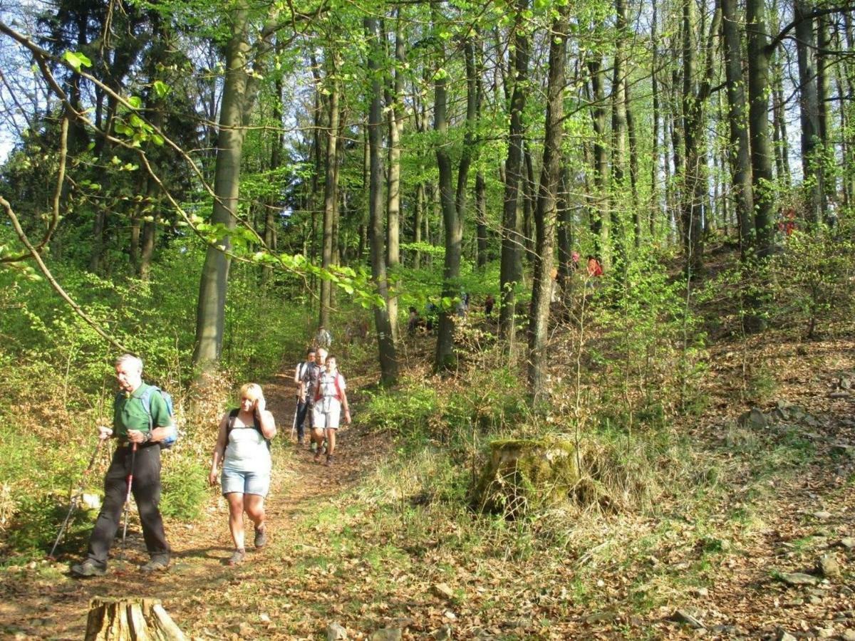 Ferienhaus Ederer Waldmünchen Zewnętrze zdjęcie