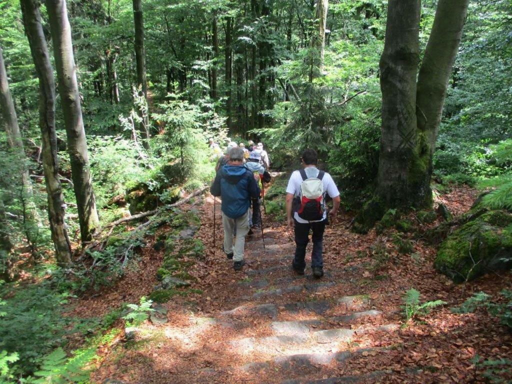 Ferienhaus Ederer Waldmünchen Zewnętrze zdjęcie